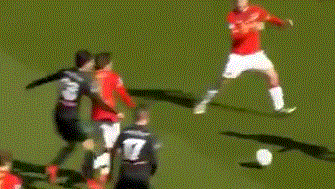 这篇文章将 这篇文章将